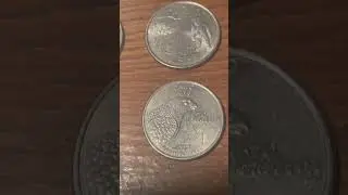 All My US State Quarters! (1999-2008 Set)