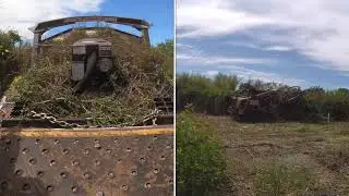 Woody Weed Removal