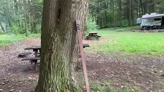 Hicks Run Campground Hammock Recon