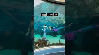 Real Jalpari | असली जलपरी🧜&zwj;♀️ | Jalpari video raigarh