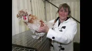 Carn agricultural show
