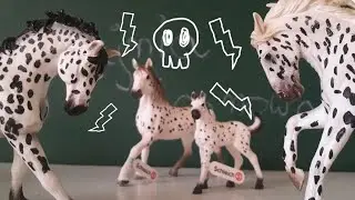 Inwazja Knabstruperów ... haul zakupowy 😁😁😁
