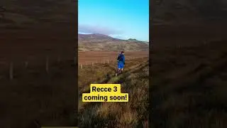 Montane Cheviot Goat - Recce 3.