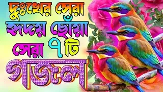 New best gazal |দুঃখের সেরা হৃদয় ছোঁয়া সেরা ৭টি গজল |New Bangla Gazal Islamic Gajal |Asadul Islam 
