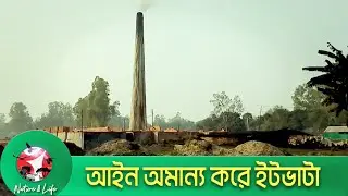 গাইবান্ধায় অবৈধ ইটভাটা: স্বাস্থ্য ও পরিবেশ হুমকির মুখে || Nature & Life