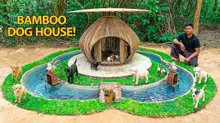 Adorable Puppies Explore Their New Bamboo House & Pond Paradise!