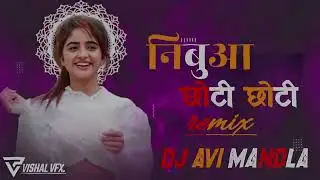 NIBUA CHOTI CHOTI DJ AVI MANDLA 2025