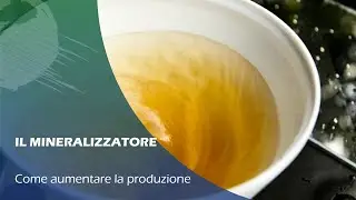 MINERALIZZAZIONE SOSTANZA ORGANICA in ACQUAPONICA