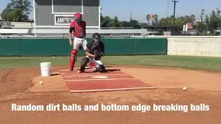 Next Level Catching Academy- Division of Video Analysis (online catching curriculum)