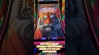#tiger #dragon #bonus #slot #casino #lowroller #jackpot #gambling #holdandspin #winning #biloxi