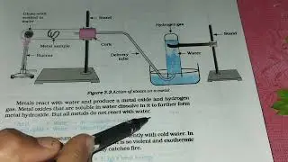 What happens when metals react with water? #class10th #sciencencert#chapter3-metalsandnonmetals