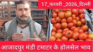 17 February 2026 दिल्ली 🍅टमाटर के भाव azadpur Delhi mandi today #tomatomarket #delhitomatomarket