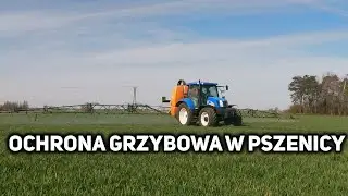 OCHRONA GRZYBOWA W PSZENICY | NEW HOLLAND T6020 & AMAZONE UF 1801