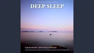 Night Sounds
