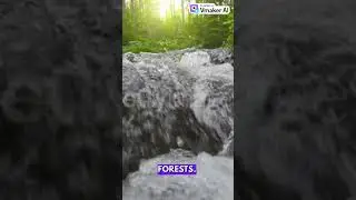 From Snow to Stream: The Journey of Mountain Water
