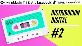 Curso Distribuci&oacute;n Digital - #2  &iquest;Necesito Una Distribuidora?