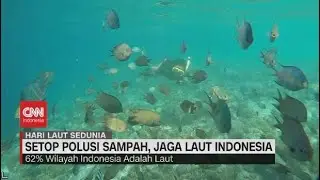 Cara Sederhana Jaga Laut Indonesia