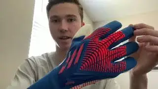 Обзор гибридных перчаток Adidas Predator Pro &mdash; 2022