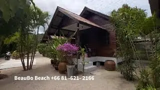 Phangan StartUp: BeauBo Beach is my Island Home