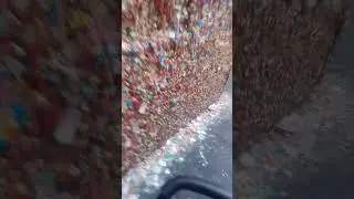 Bubble gum Alley in Seattle, By Linda Kay Black preschool teacher,