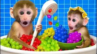 小猴子 Bon Bon 惊讶发现卡车装满彩色小鸭子 | Bon Bon Monkey