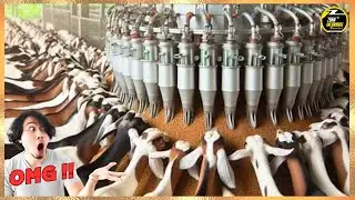 GOAT FARMING TECHNOLOGY USING ADVANCED MACHINES