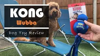 KONG - Wubba (Dog Toy Review)