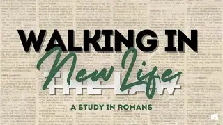 Dead to Sin, Alive to God
