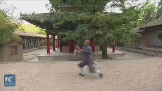 Shaolin monk plays Monkey stick