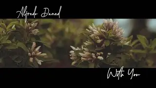 Alfredo Daned - With You [Official Lyric Video]