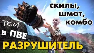 TERA online (RU) - Разрушитель (Brawler). Обзор скилов, шмота под ПВЕ