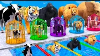 Animals Choose The Right Key With Cow Mammoth Elephant Gorilla Lion Tiger Wild Animals Matching Game