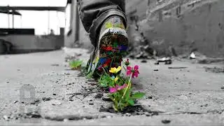 2025 Progressive House Melodic Techno Indie Dance 161 Sam WOLFE, UNPAVED, Weska, Pleasurekraft, Fape