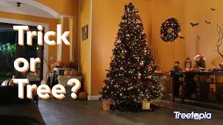 Trick or Tree? Black Halloween Tree from Treetopia&trade;