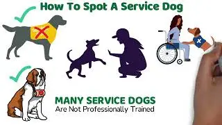 KRO Independant Contract Drivers Federal Law Information: Service Animals