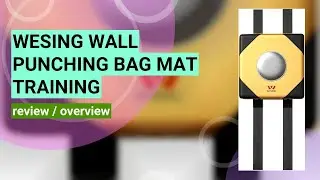 Review: WESING Wall Focus Target Punch Bag for Martial Arts Training