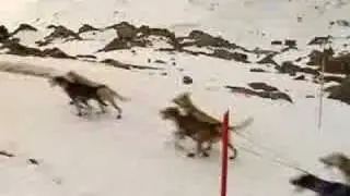 PIRENA 2008. NAVARRA DIRECTO ETB2