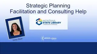 Strategic Planning Facilitation and Consulting Help