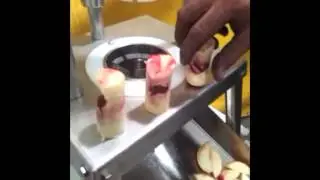 Peach Pitter and Fruit Wedger - www.CharliesMachineandSupply.com