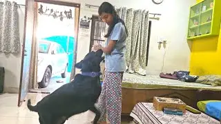 Jenny Ko Ghar Se Nikal Diya Jayega//Dog Funny Vlog#pawsplanetbingo #dog #dogentertainment