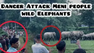 Meni people Attack Wild Elephants 🐘 #danger #animalattack #elephantattack #viralelephant #video 