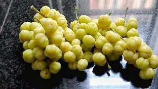 Star gooseberry salad in Summer