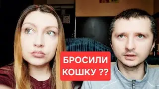 ГЕРМАНИЯ ‼️ ПОЧЕМУ НЕ ВЫВЕЗЛИ КОШЕК ⁉️  #войнаукраина 