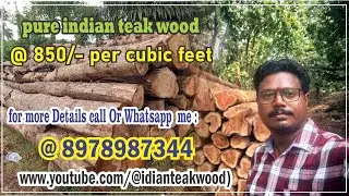 Indian teak logs 2 loads available