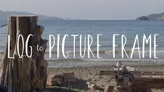 Painting Frames from a beautiful driftwood log.