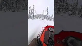 Sledding Norns Range British Columbia 