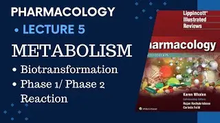 Metabolism #biotransformation #metabolism Sites #Phase 1&2 Reactions #Prodrugs #Metabolizing enzymes