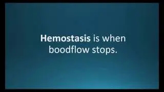 hemostasis  (Pharmcabulary for Memorizing Pharmacology Chapter 5 Neuro Flashcard)