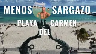 Playa del Carmen se recupera 🌊 SIN SARGAZO | Calle 4, Fundadores y dron + Amanecer en Isla Mujeres