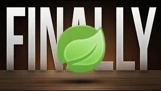 Finally. A Real Spring Security Course